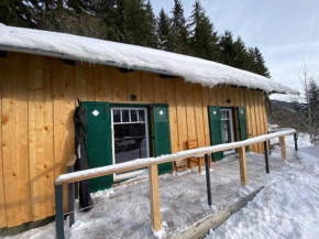 Heidi-Alm-Amelie am Präbichl